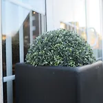 Hotel Kaiser Hotel 3*