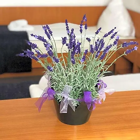 Hotel Kaiser 3* Monchengladbach